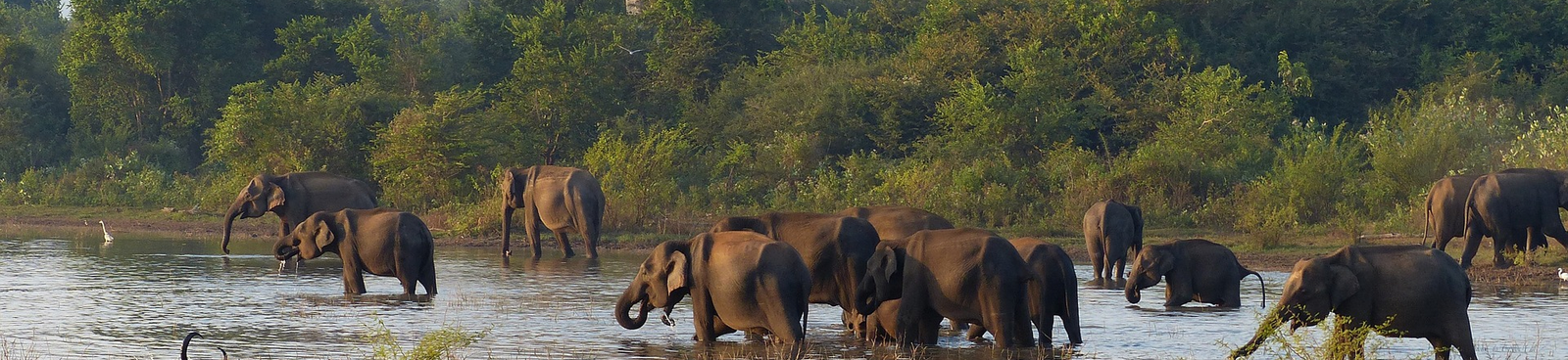 Ceylon Adventure Tours - Customized package