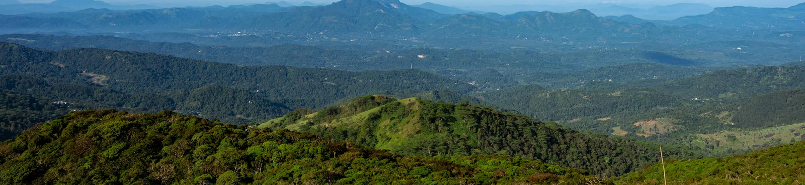 Ceylon Adventure Tours