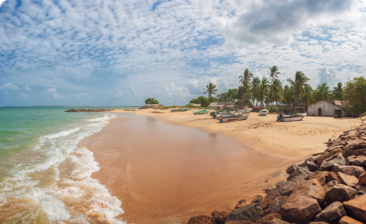 Jungle, Java & Ocean Waves